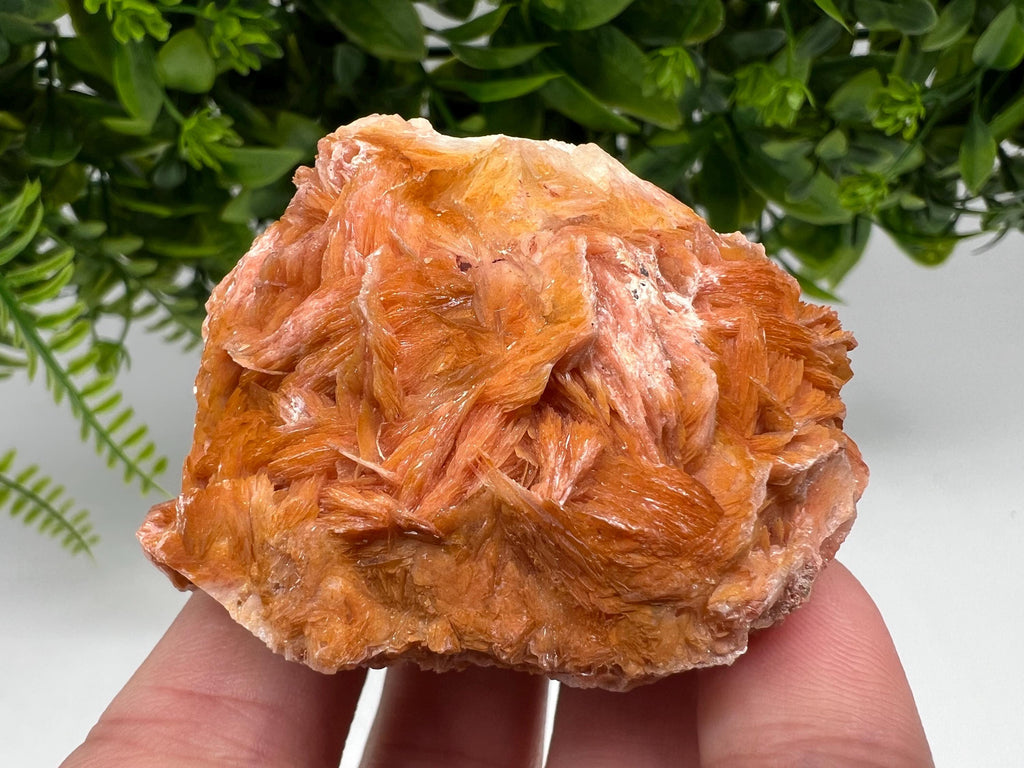 Wonderful Baryte with Cerussite on Galena from Morocco,Crystal, Mineral,Specimen,Cluster,Crystals,Barite Crystal,Cerussite Crystal,Specimen