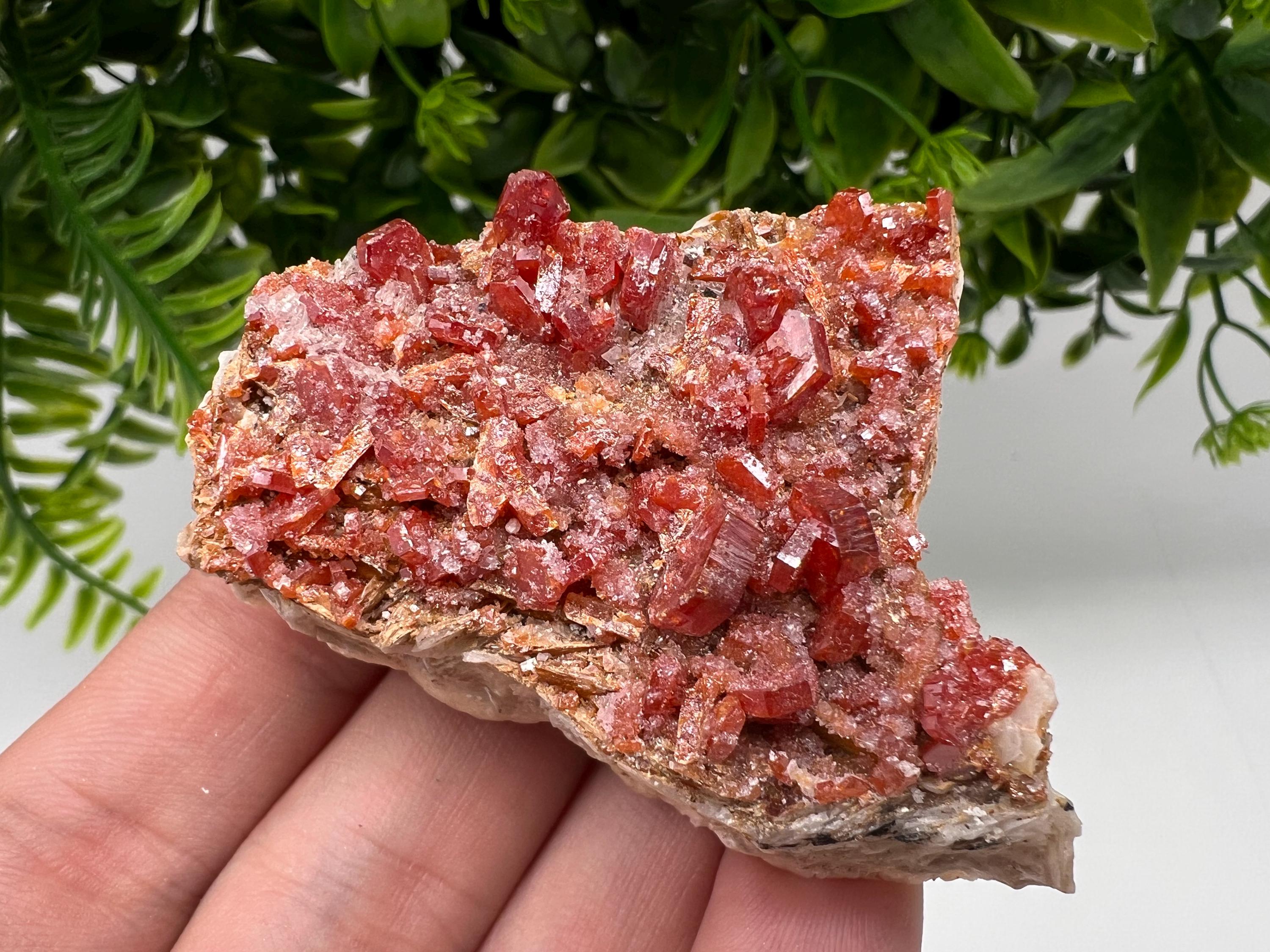 Red Vanadinite on Barite Specimen, Morocco Mineral Cluster