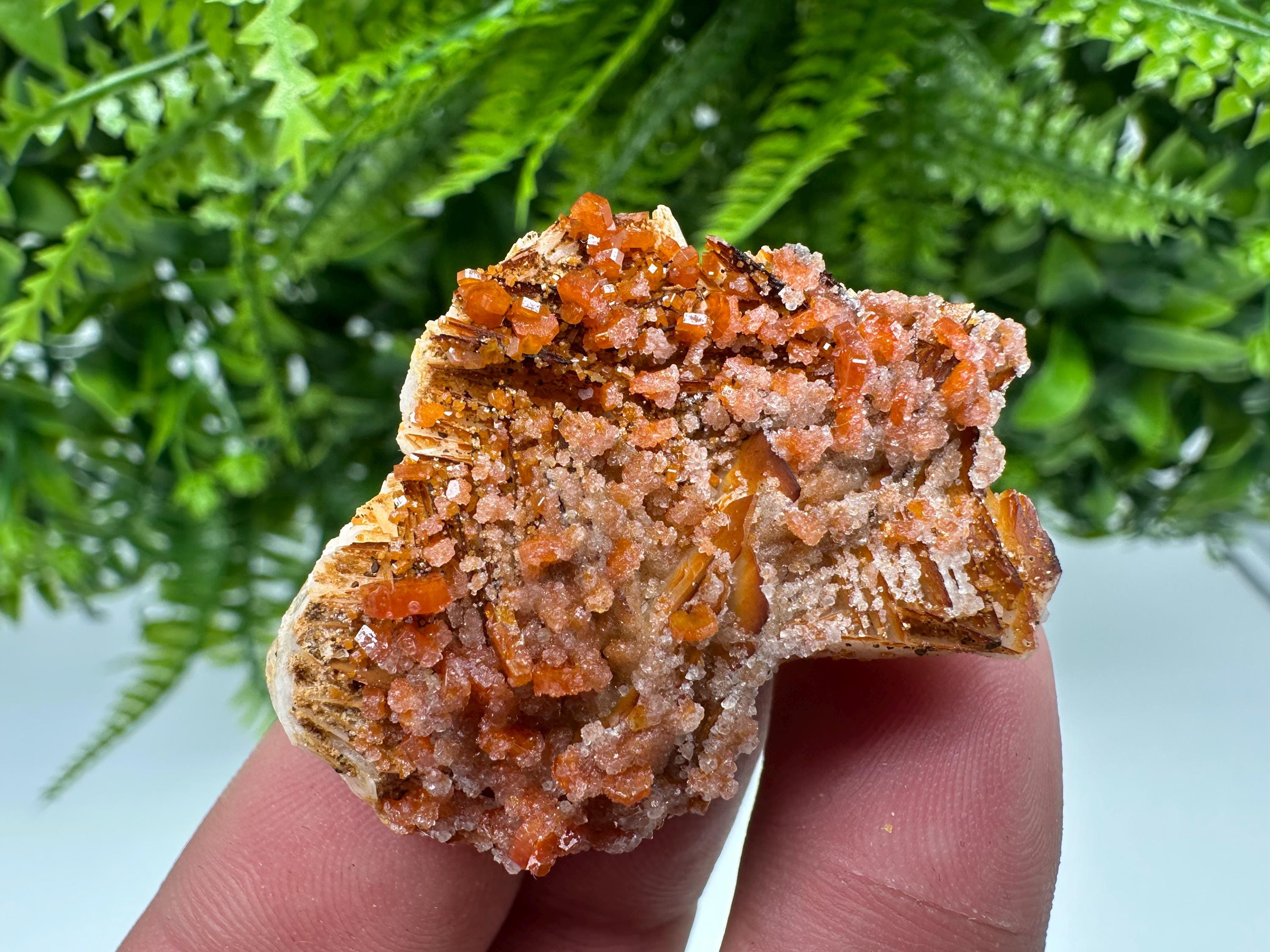 Red Vanadinite on Barite, Morocco Mineral Specimen Cluster