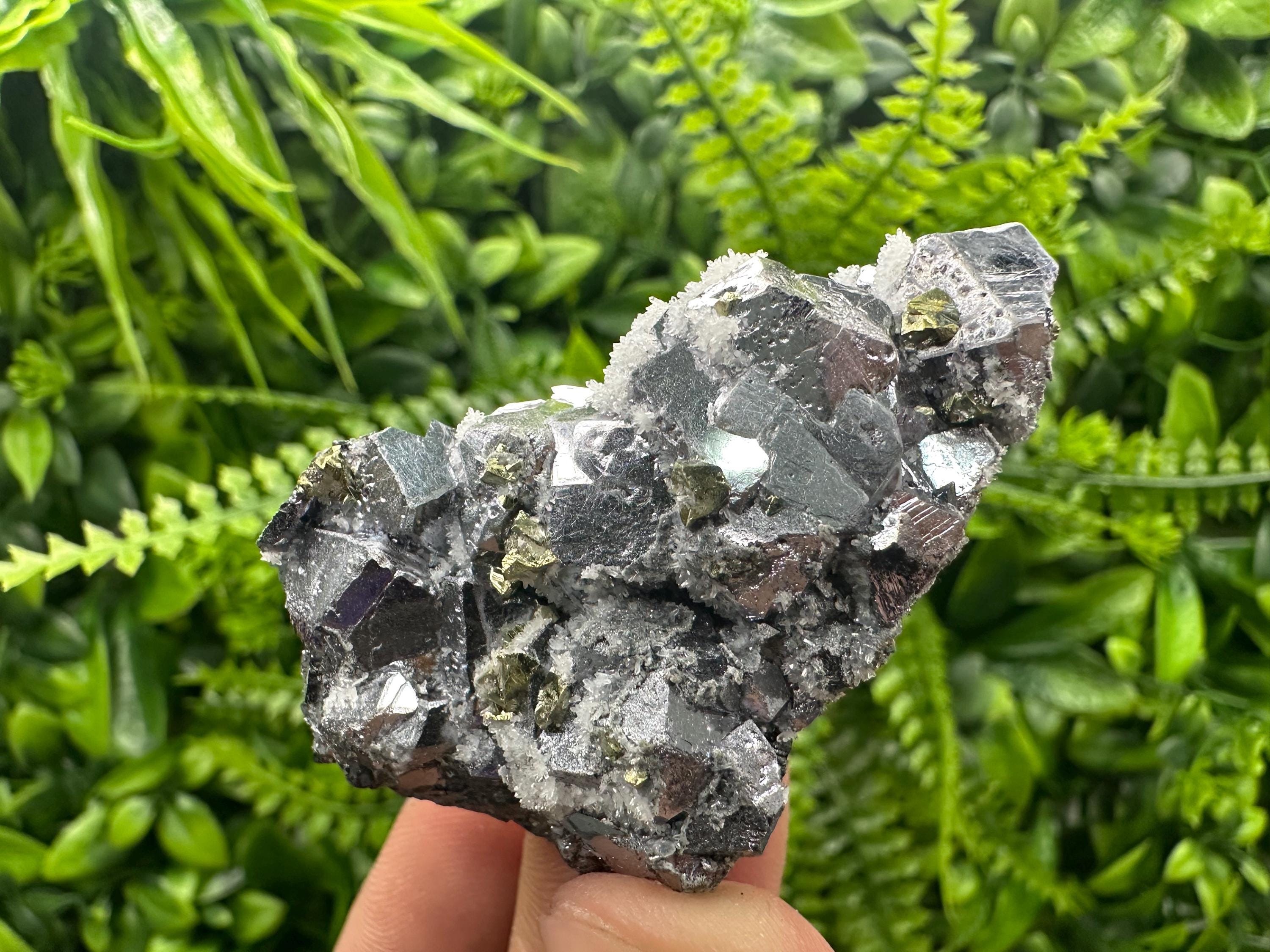 Galena with Chalcopyrite and Quartz, Krushev dol Mineral Specimen