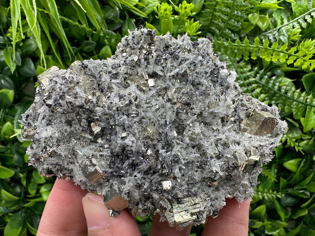 Pyrite on Quartz Needles: Borieva Mine Bulgaria Crystal Decor