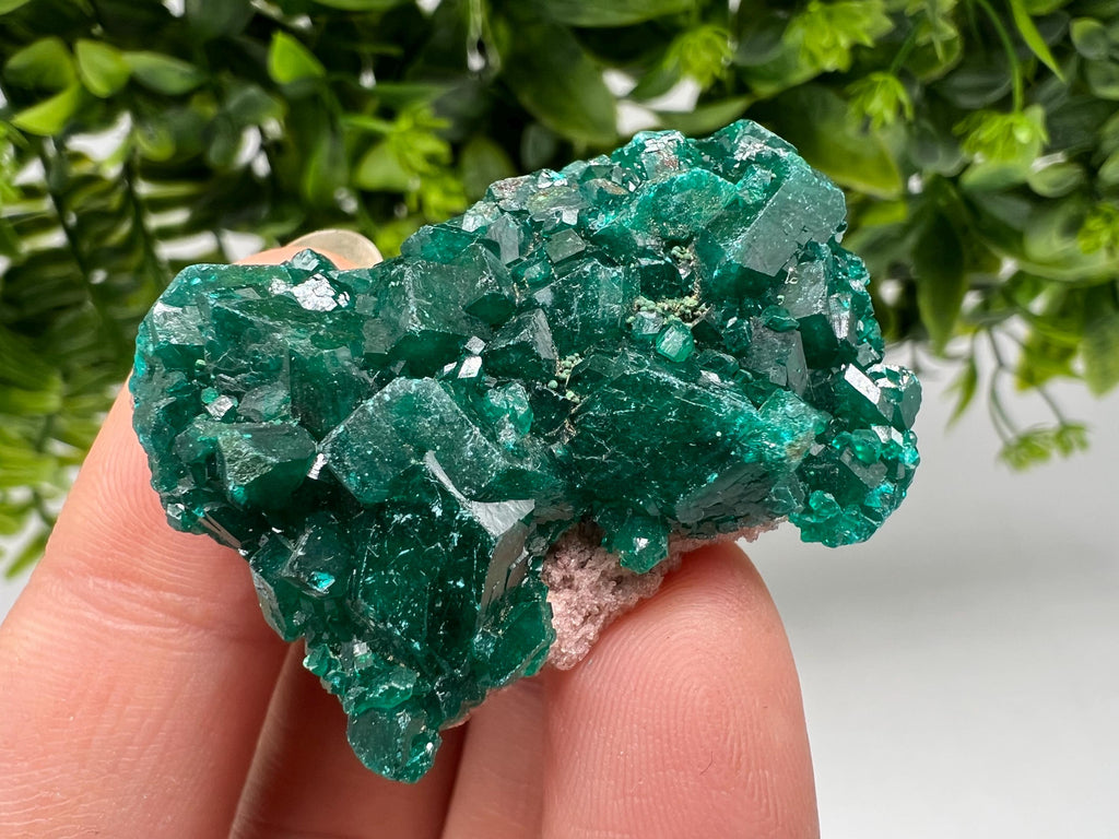 Stunning Green Dioptase from Sanda Hills,Mindouli,Pool Department,Mindouli District,Congo,green Dioptase,Dioptas Crystal,Dioptase collecting