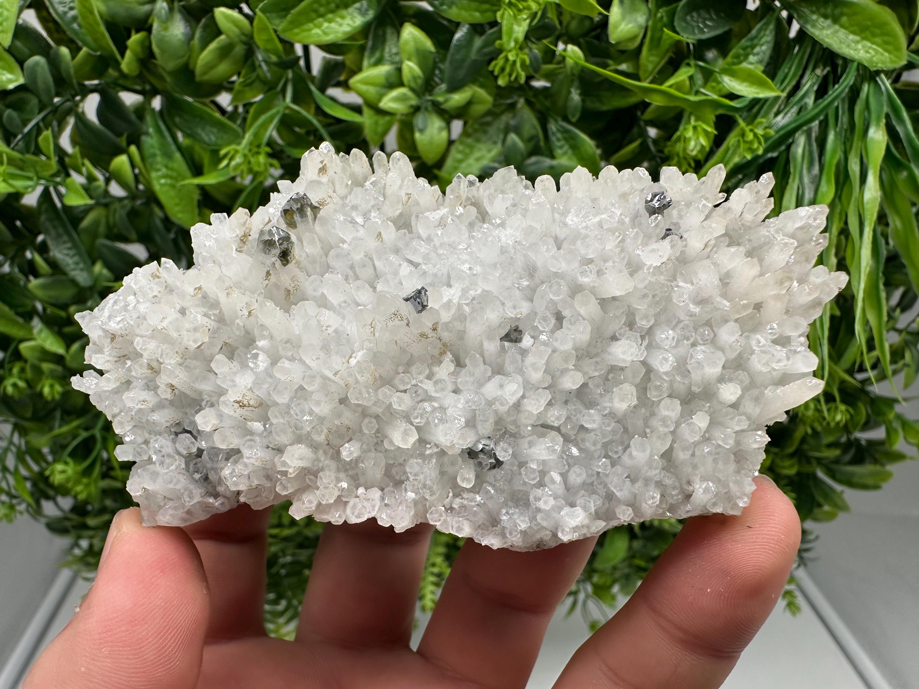 Stunning Gems Sphalerite Cleiopfane on Quartz from Krushev dol mine,Madan,Bulgaria,natural,collectible mineral specimen,home decor stone