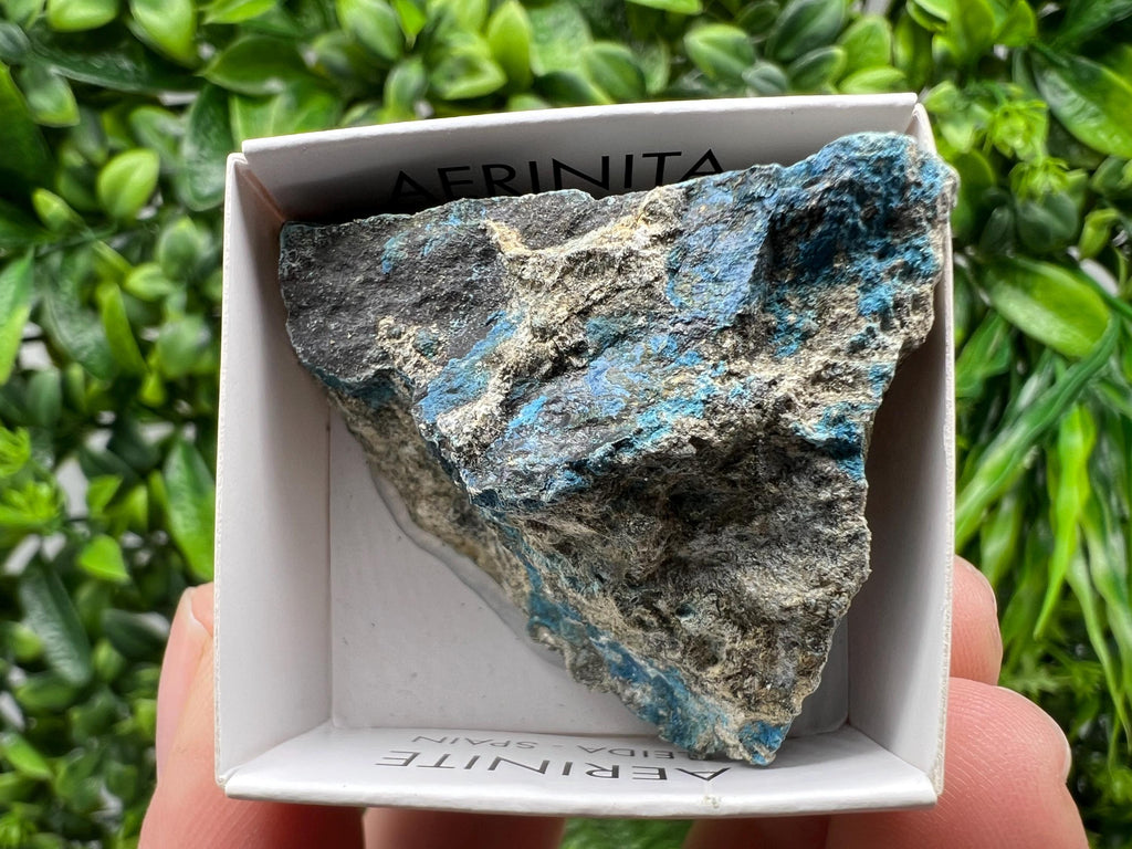 Rare Raw Aerinite Specimen: Lleida Spain Mineral Collection (4.5/4 CM)