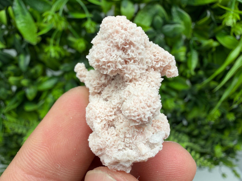 Stunning Quartz whit Chlorite on Rhodochrosite covered whit siderite natural minerals souvenir crystal home decor stone 9th September mine