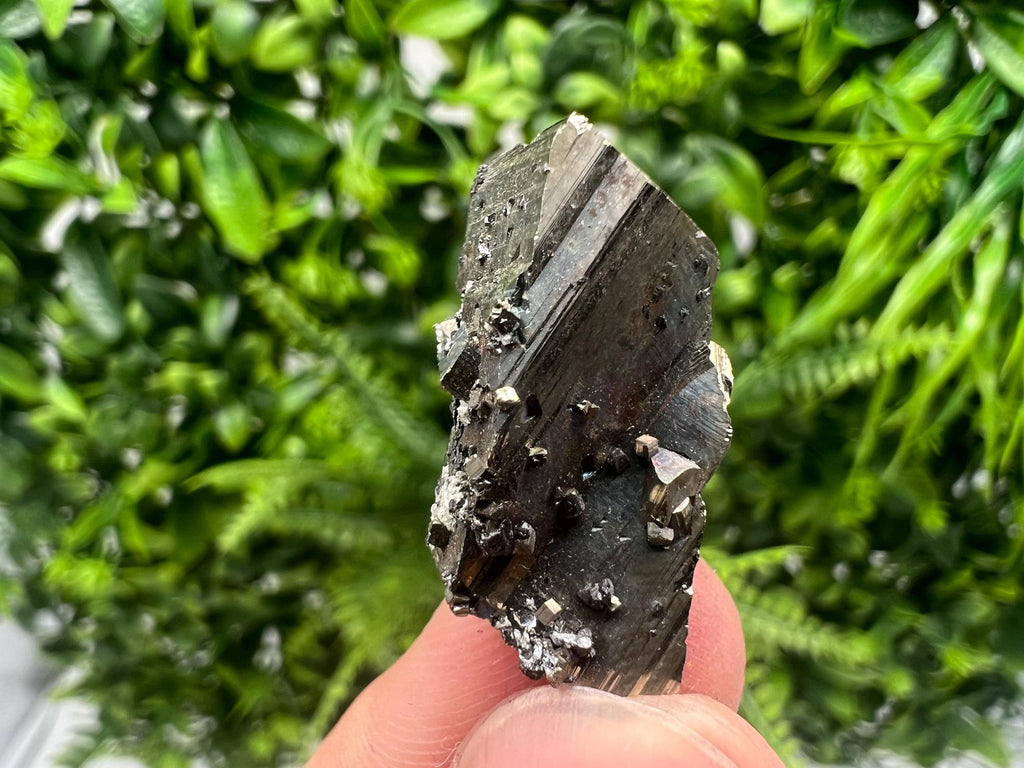 Mini Rainbow Pyrite Cluster: Borieva Mine, Bulgaria