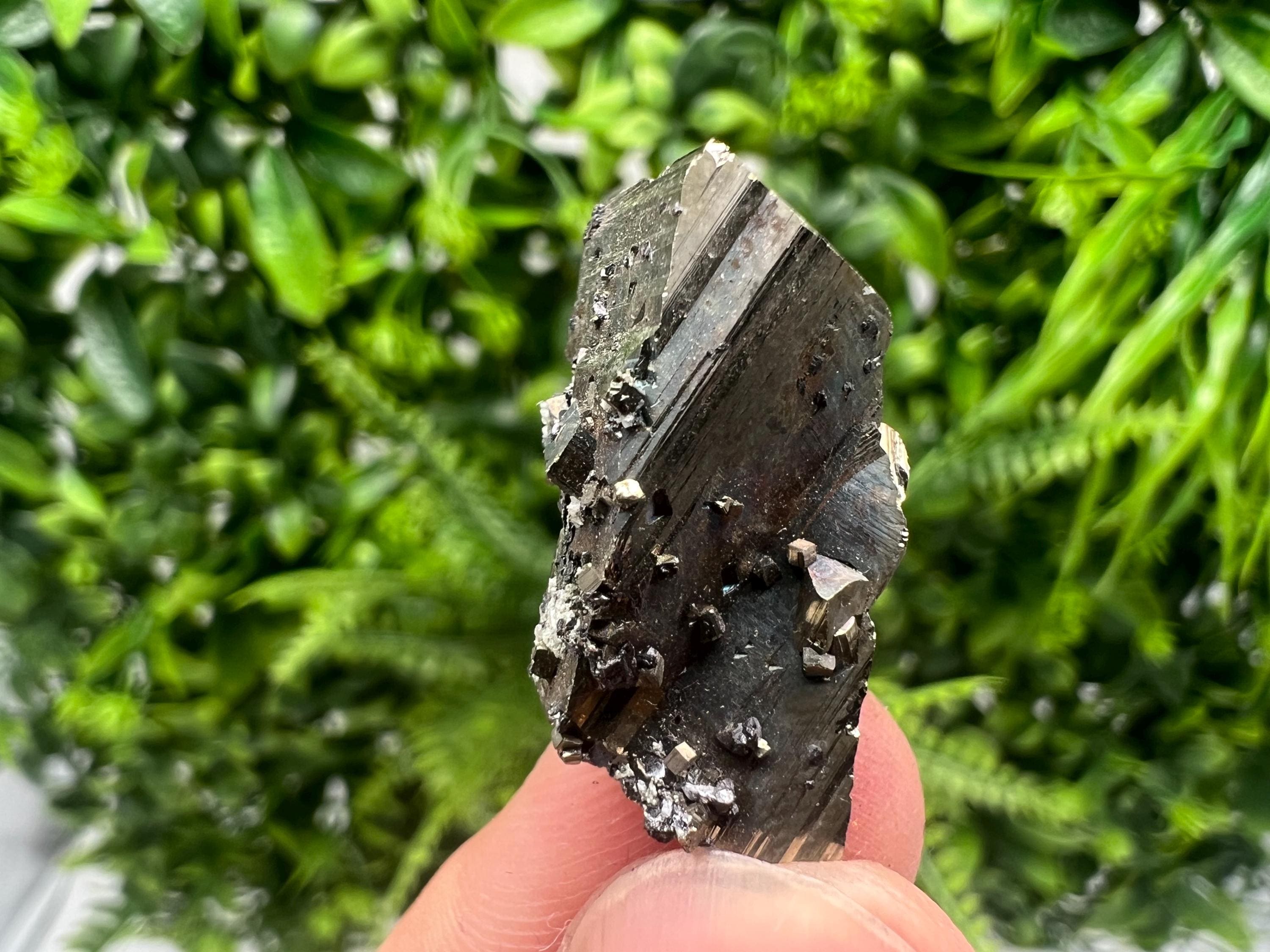 Mini Rainbow Pyrite Cluster: Borieva Mine, Bulgaria