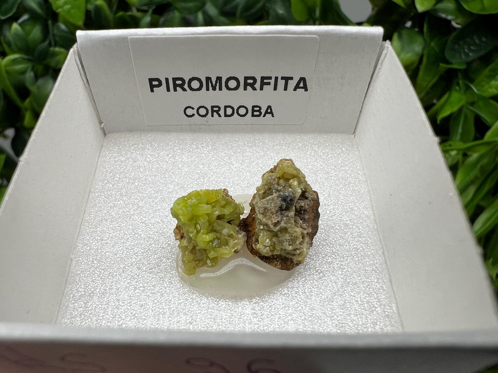 Pyromorphite Stone / Pyromorphite on Matrix / Pyromorphite Crystal / Raw Crystal / Pyromorphite Cluster / Rough Pyromorphite / Pyromorphite