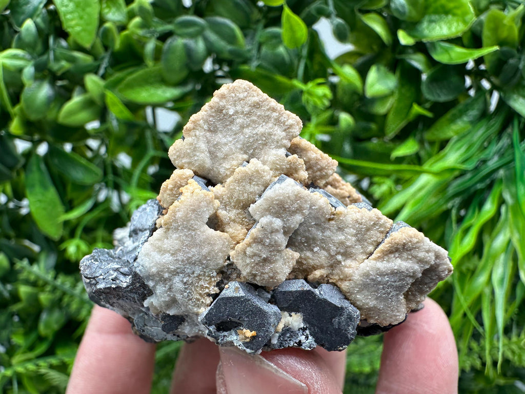 Skeletal Galena with Sphalerite and Calcite - Madan, Bulgaria