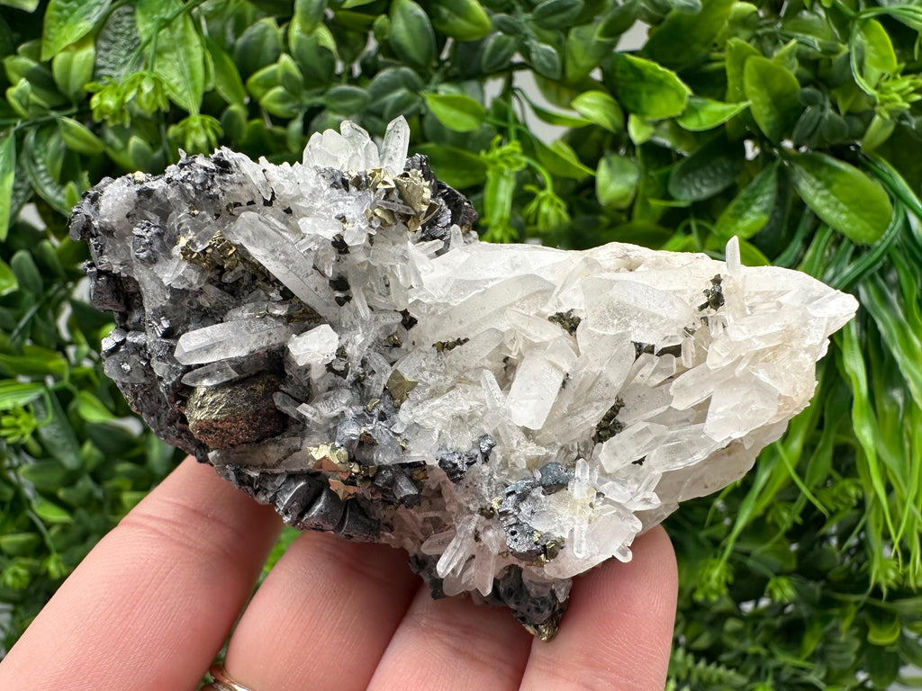 Wonderful Sphalerite Chalcopyrite on  Quartz whit Galena feom 9 th September mine,Bulgaria,natural,collection mineral specimen,gift