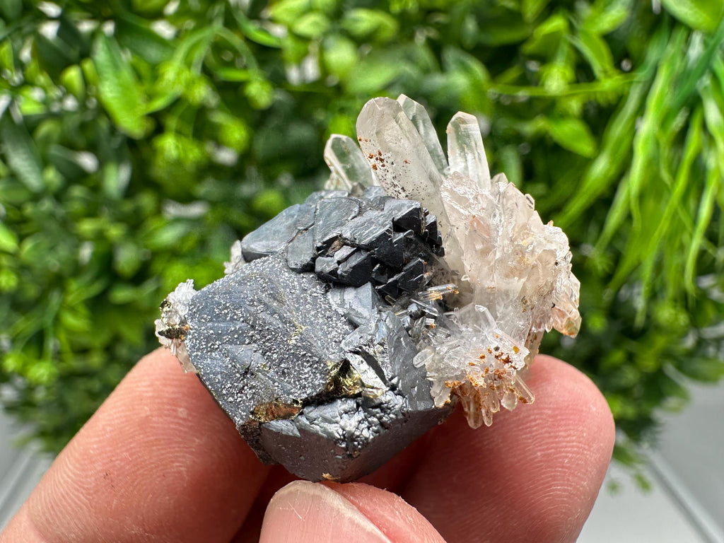 Wonderful Sphalerite Chalcopyrite on  Quartz whit Hematite feom 9 th September mine,Bulgaria,natural,collection mineral specimen,gift