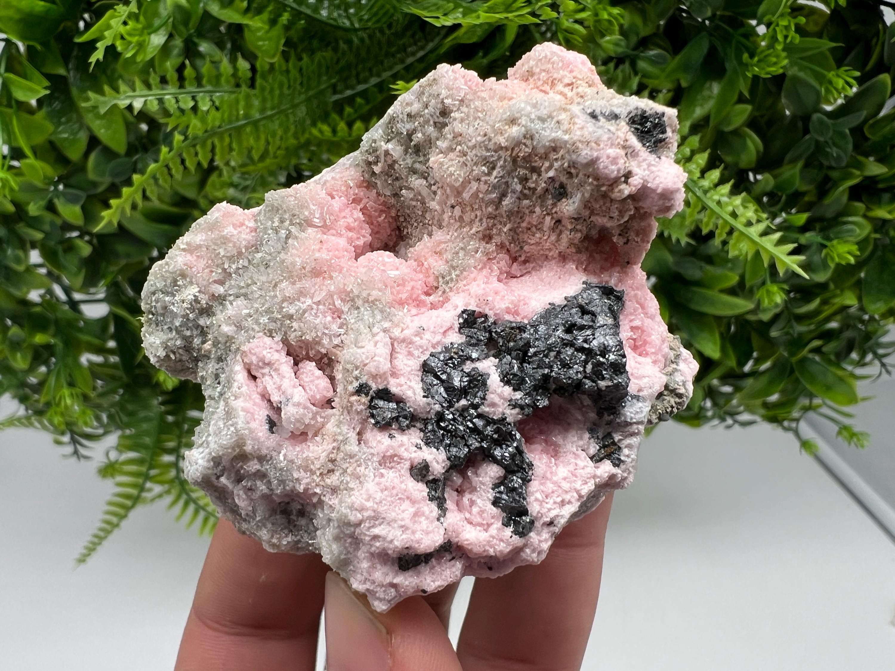 RARE Rhodochrosite with Calcite, Starnica Mine, Bulgaria