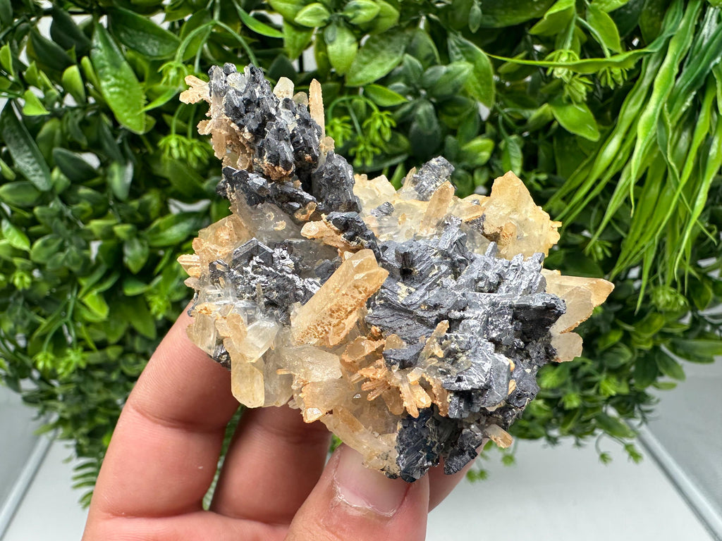 Galena Cluster with Siderite and Quartz: 9th September Mine, Bulgaria