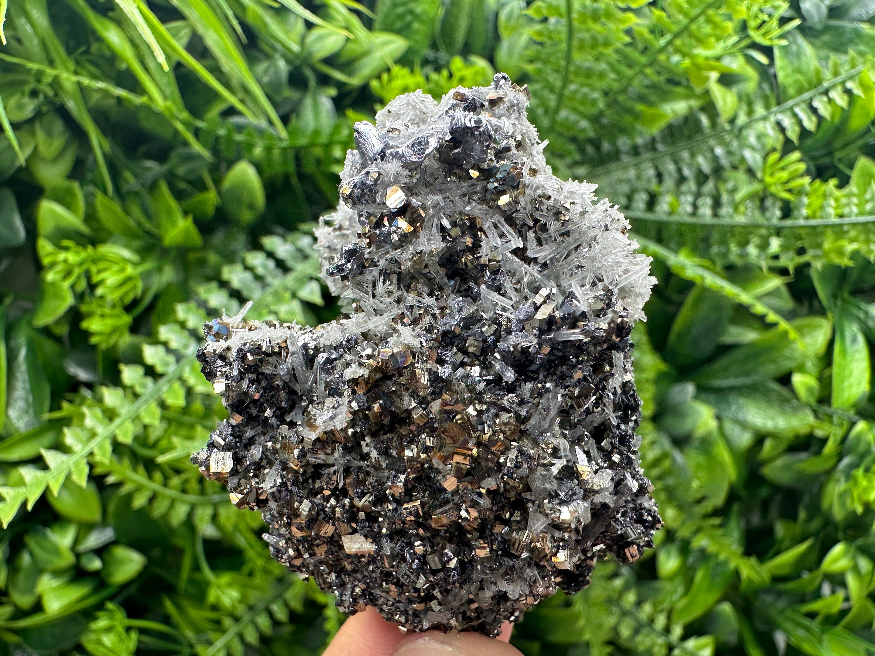 Galena Pyrite Sphalerite with Quartz, Borieva Mine Mineral Specimen