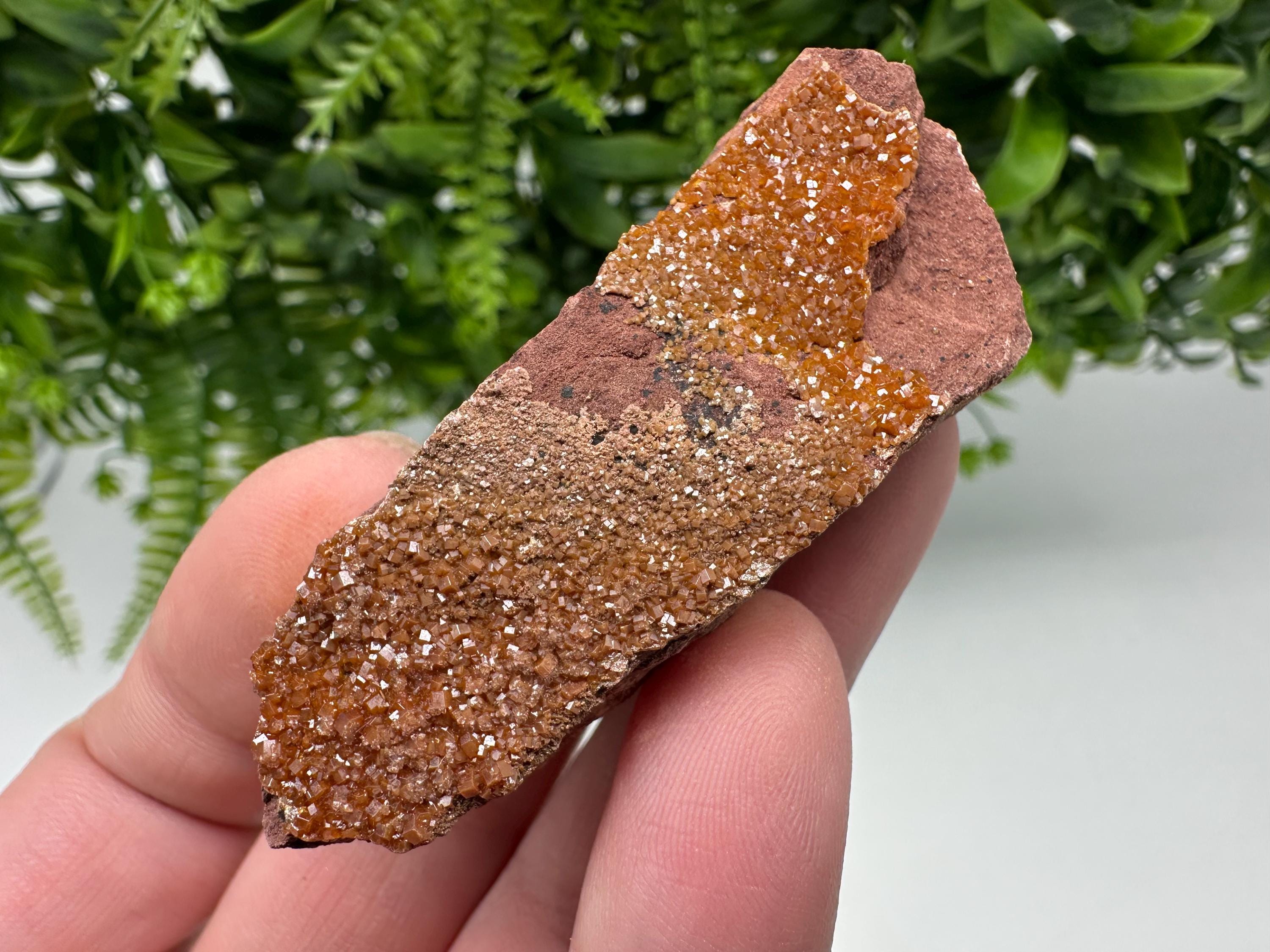 Red Vanadinite on Matrix from Marocco,crystal minerals Speciment cluster Vanadinite crystal Vanadinite Geology Vanadinite cluster minerals