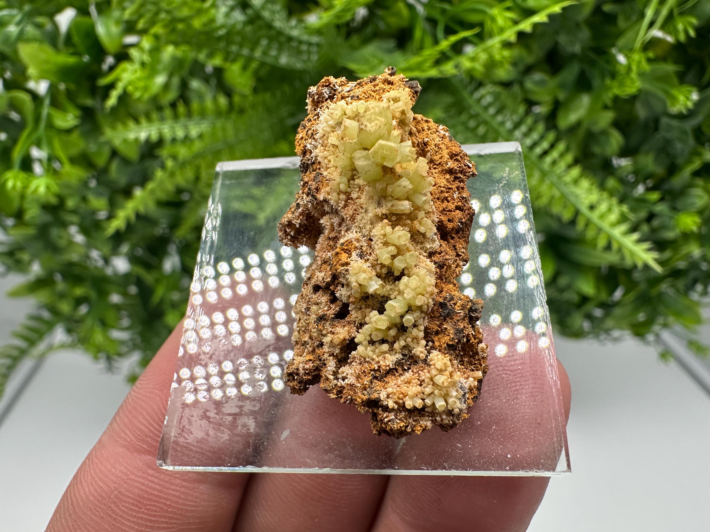 Green Yellow Pyromorphite Hematite on Quartz, Madjarovo Bulgaria