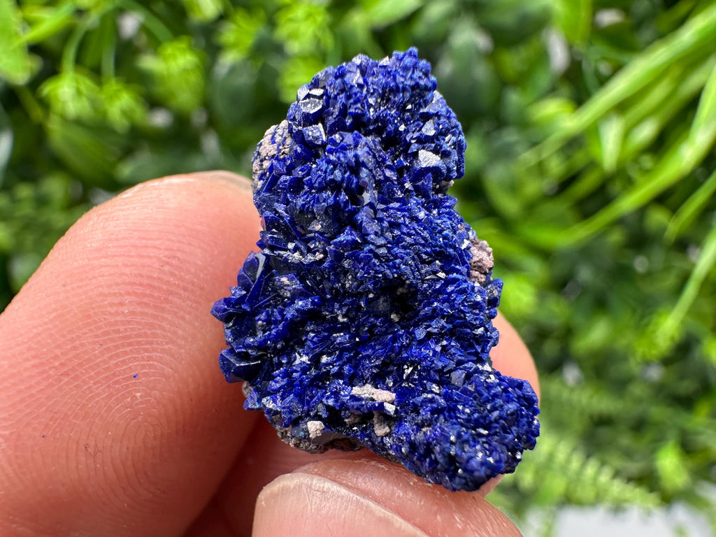 Crystallized Azurite-Kerrouchen,Morocco-Blue Azurite Specimen-High Quality Blue Azurite-Azurite Mineral Specimen, gemmy,lustrous of Azurite