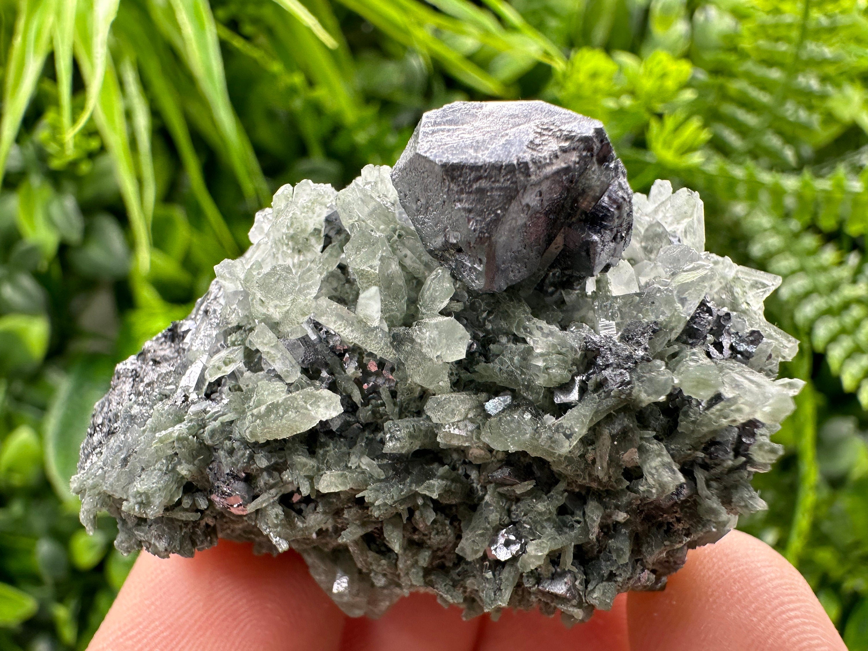 Galena on Green Quartz, Borieva Mine Mineral Specimen