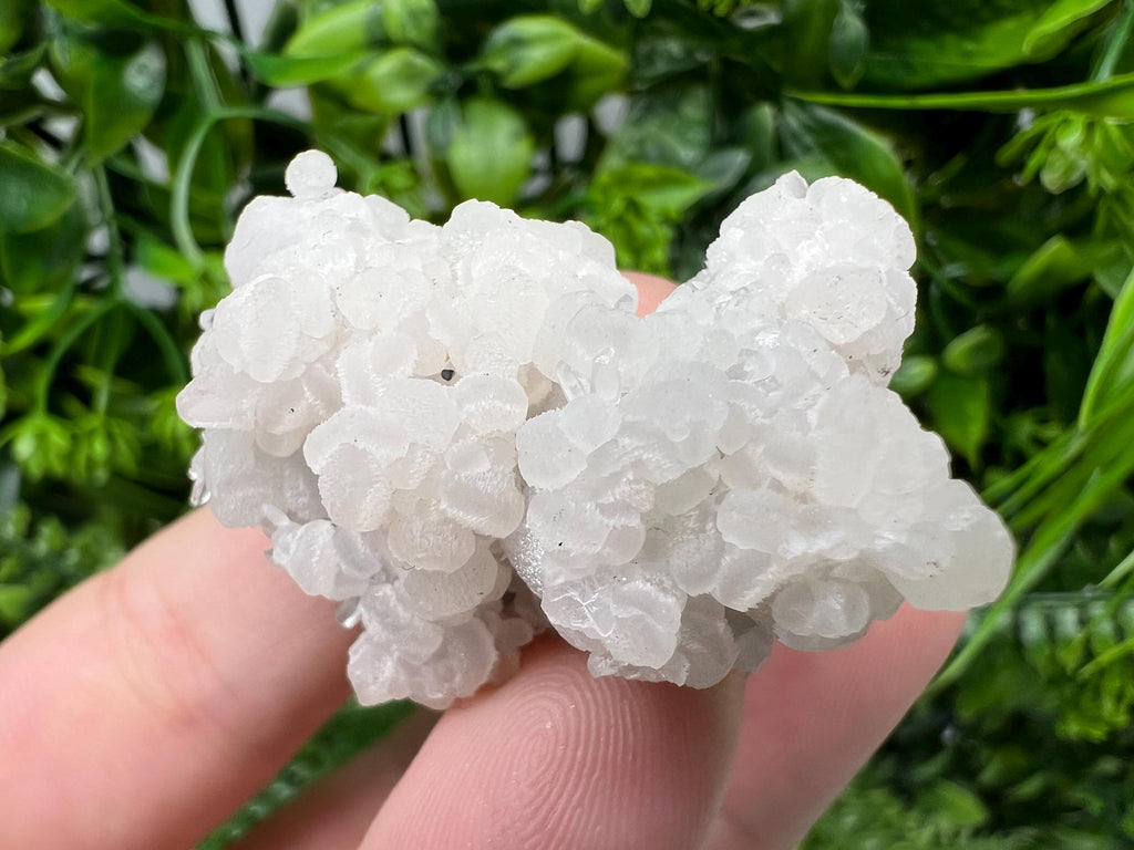 Mangano Calcite with Galena, Borieva Mine, Bulgaria