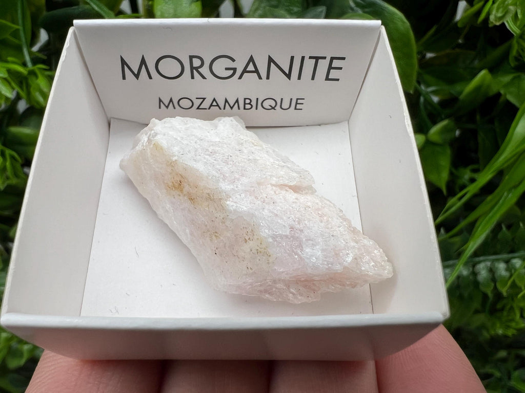 Rare Raw Morganite Specimen: Mozambique Crystal Mineral