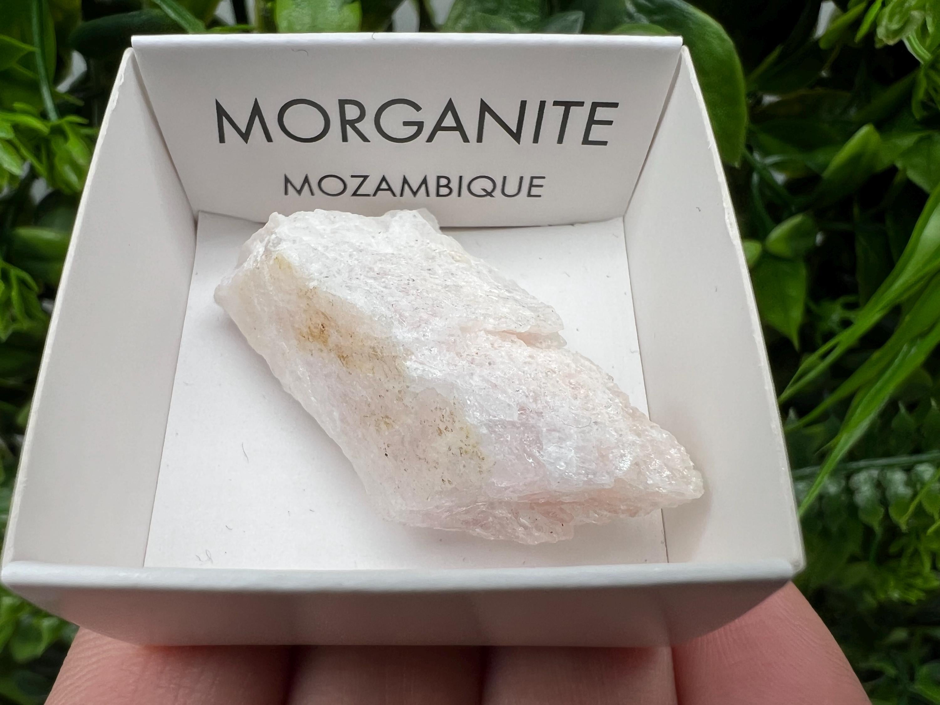 Rare Raw Morganite Specimen: Mozambique Crystal Mineral