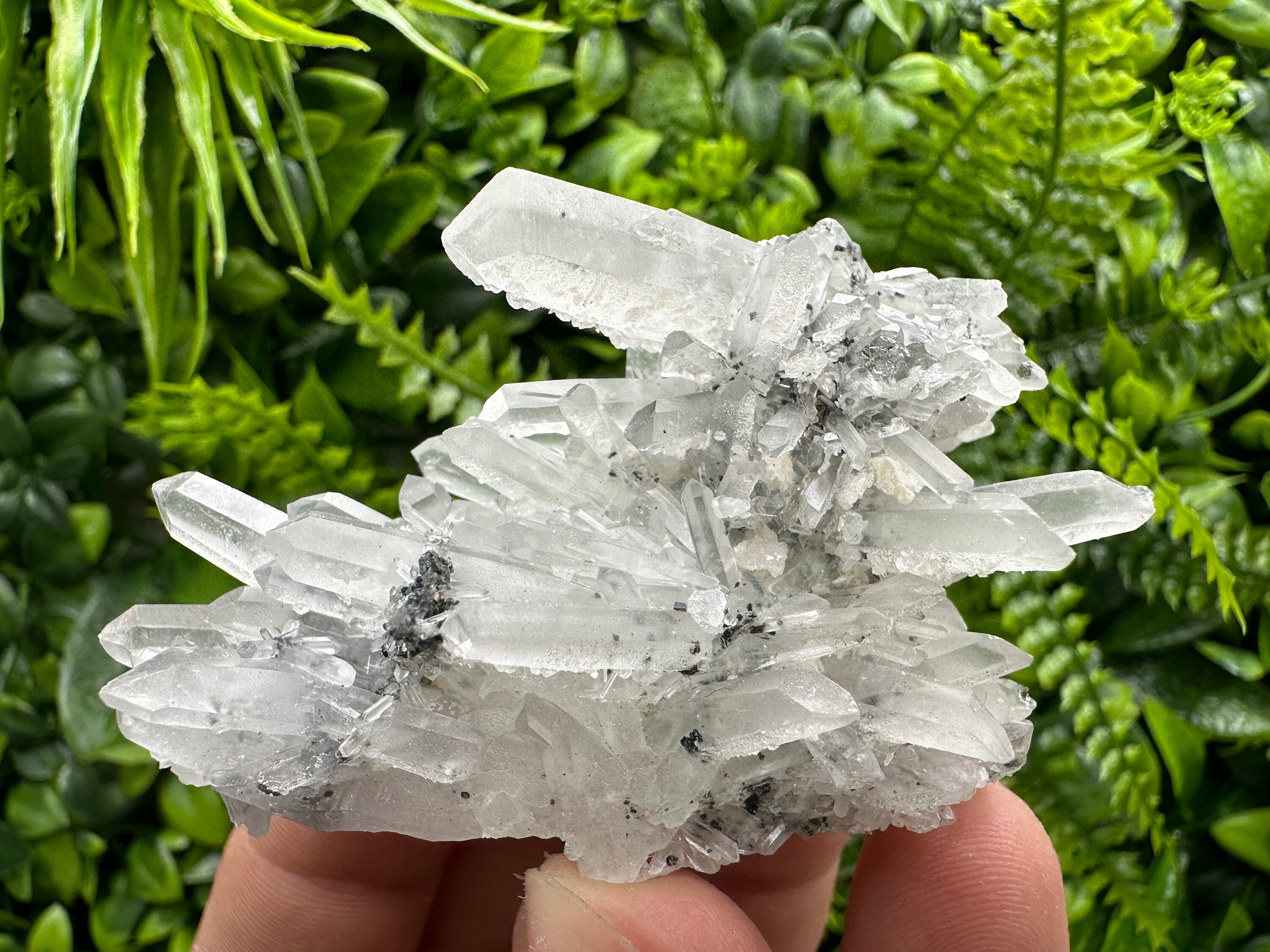 Quartz Calcite Chlorite Crystal: Borieva Mine, Bulgaria