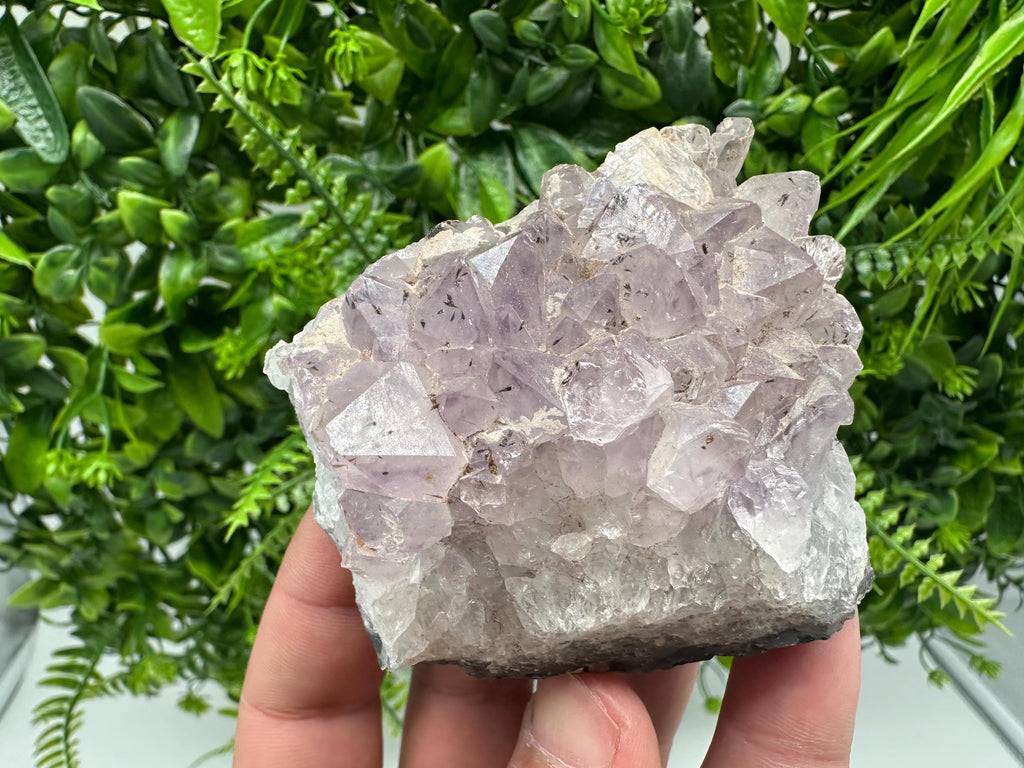 Brazilian Amethyst Crystal Cluster Specimen, Purple Quartz