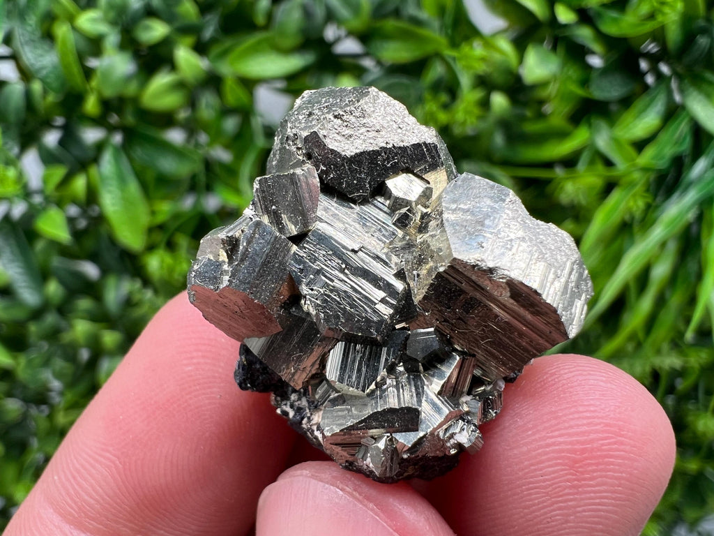 Golden Pyrite Cluster with Sphalerite, Madan Bulgaria Mineral Specimen