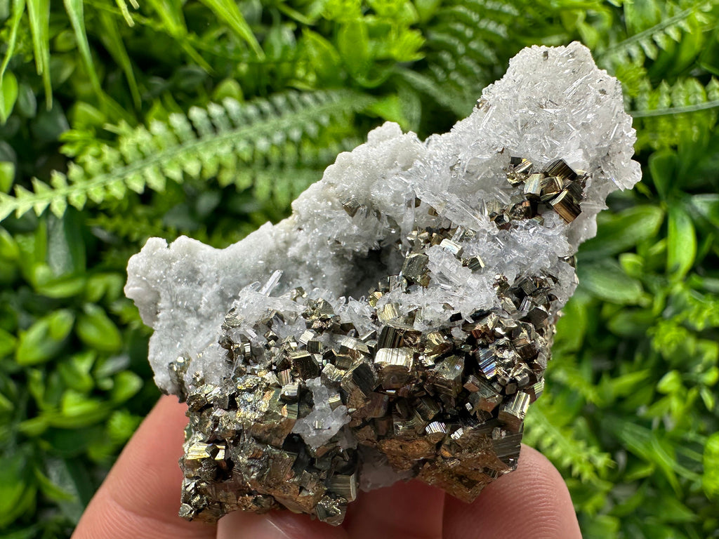 Pyrite on Quartz: Borieva Mine Crystal Home Decor