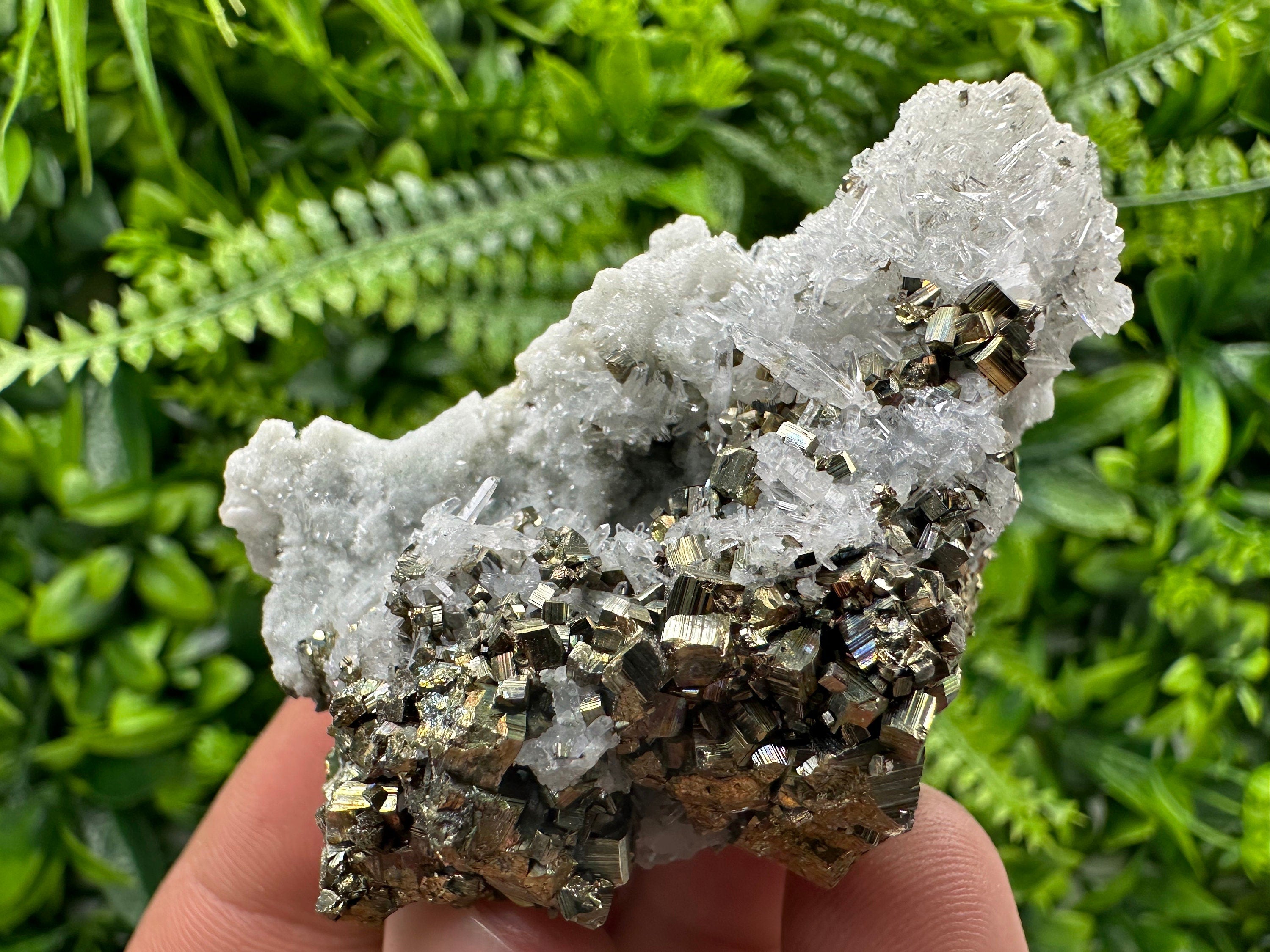 Pyrite on Quartz: Borieva Mine Crystal Home Decor