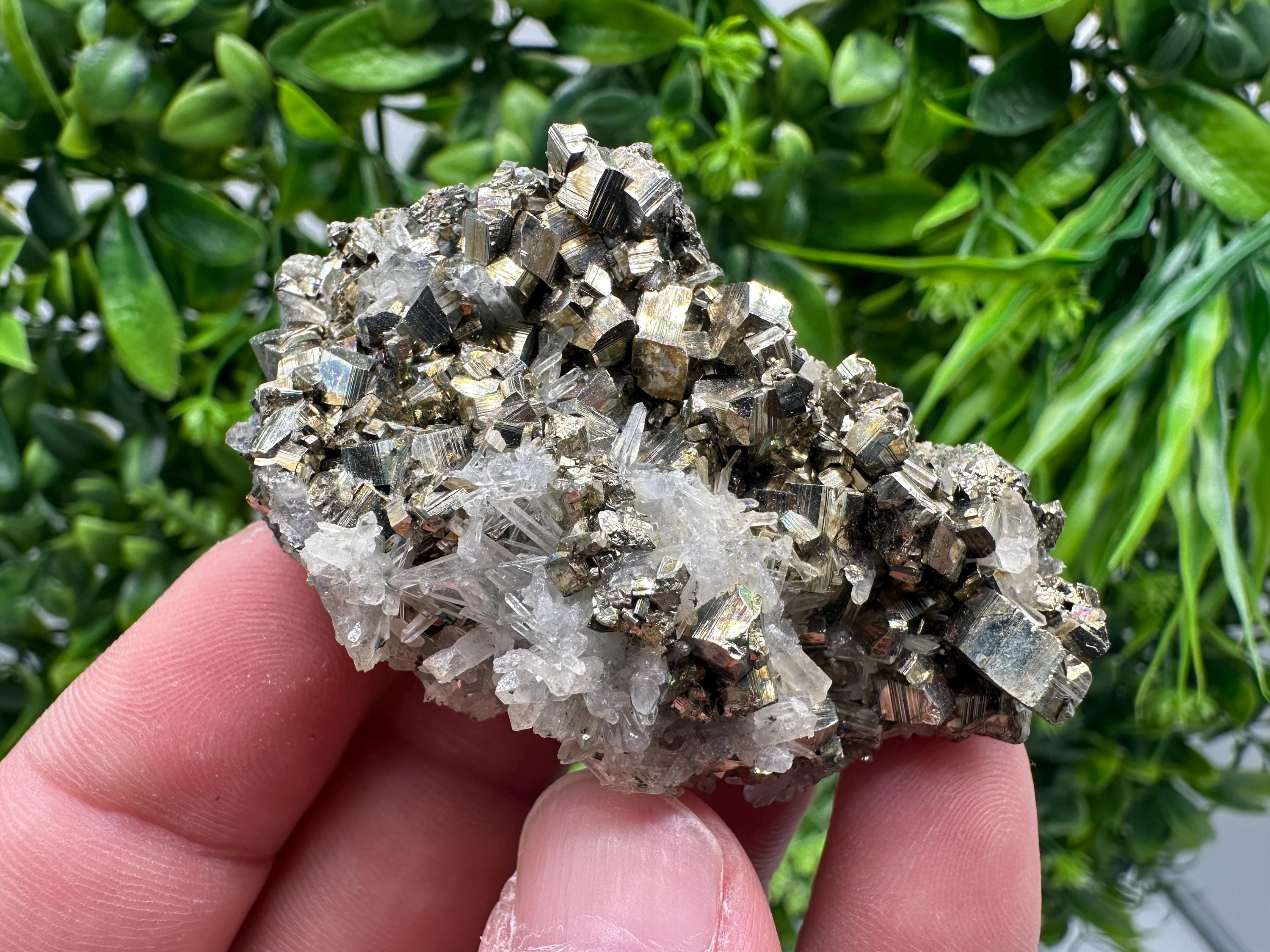 Rainbow Pyrite with Sphalerite on Quartz: Natural Crystal Home Decor