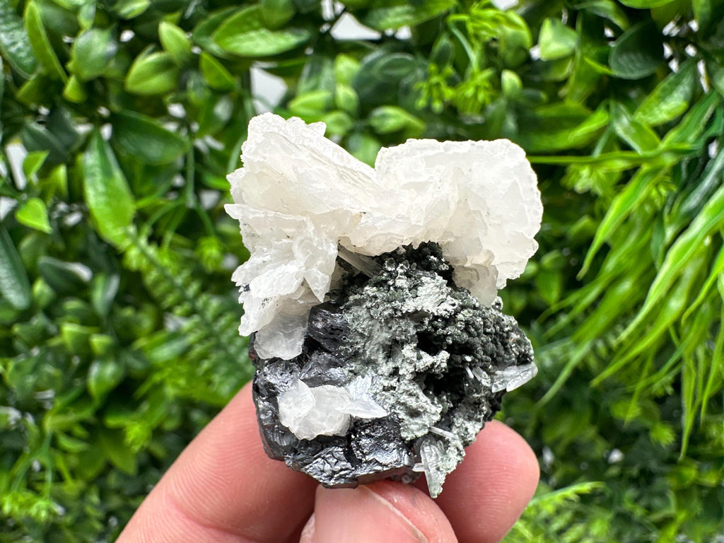 Mirror Galena, Calcite, Sphalerite on Quartz with Chlorite: Collection Mineral