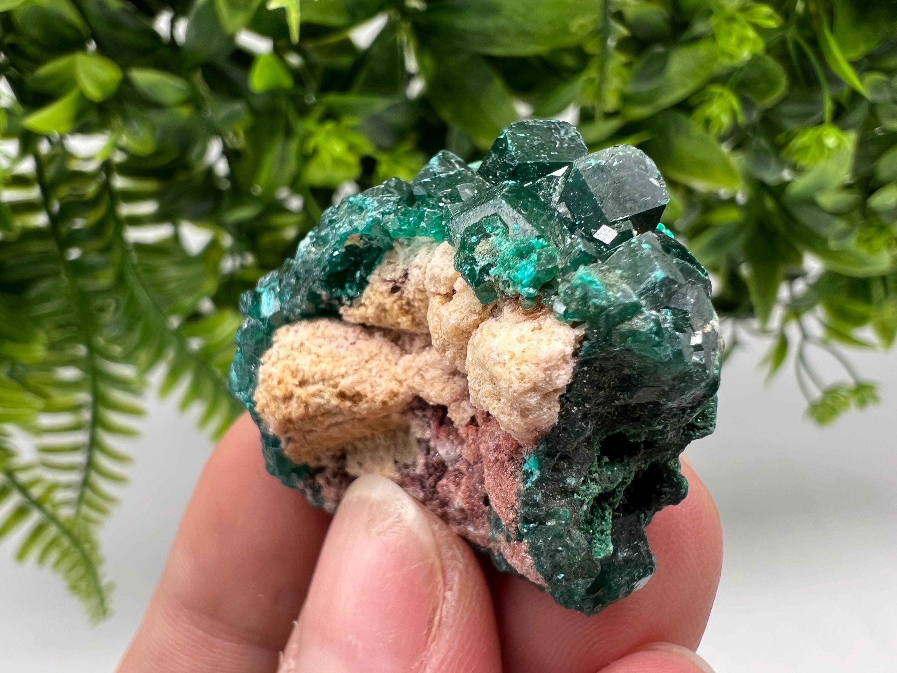 Stunning Green Dioptase from Sanda Hills,Mindouli,Pool Department,Mindouli District,Congo,green Dioptase,Dioptas Crystal,Dioptase collecting