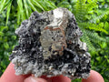 Pyrite on Quartz Needles, Borieva Mine Bulgaria