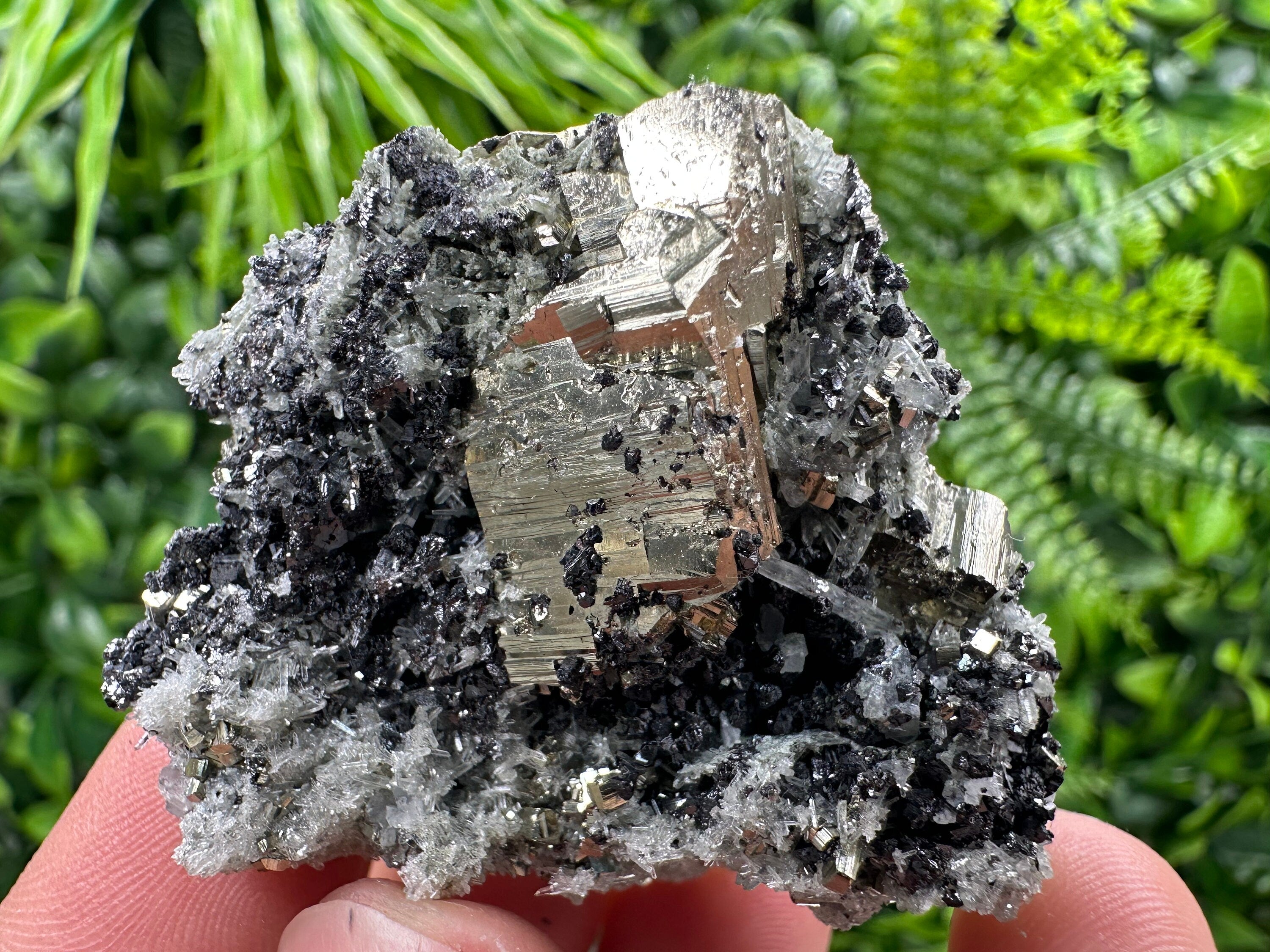Pyrite on Quartz Needles, Borieva Mine Bulgaria