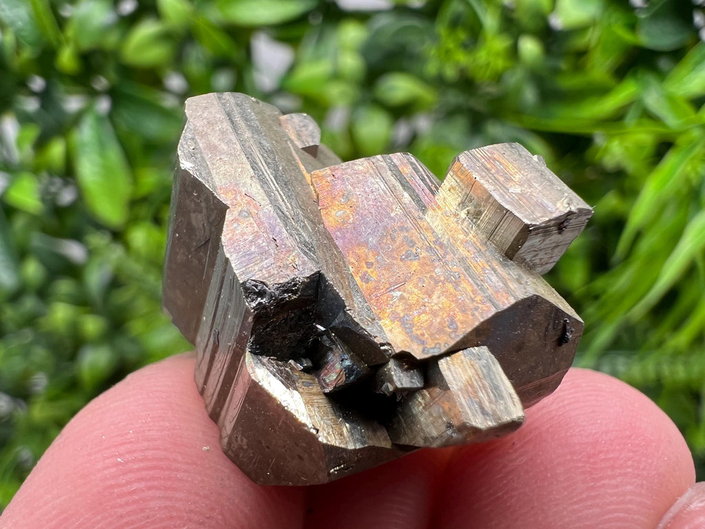 Mini Rainbow Pyrite Cluster: Borieva Mine, Bulgaria