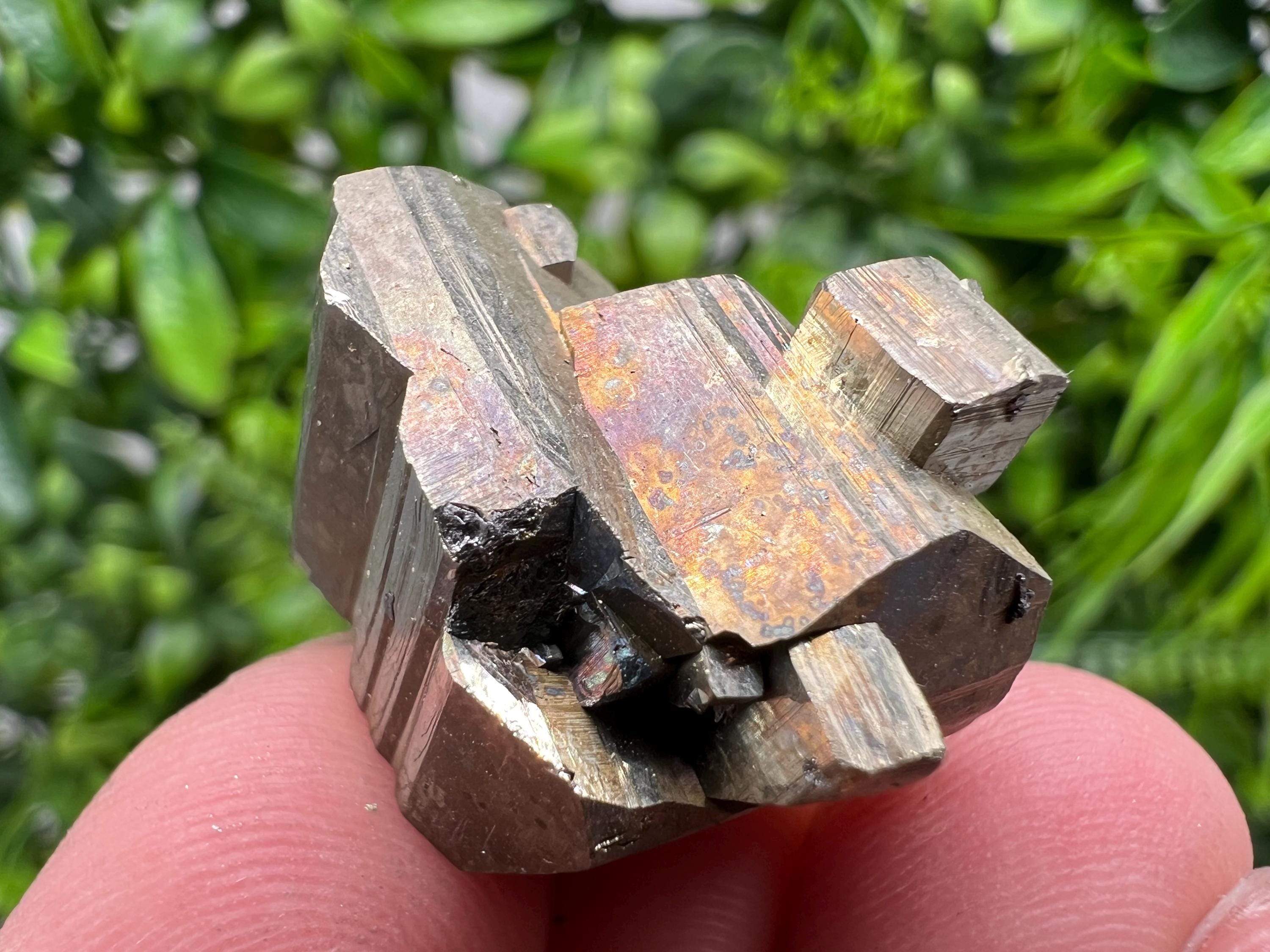 Mini Rainbow Pyrite Cluster: Borieva Mine, Bulgaria