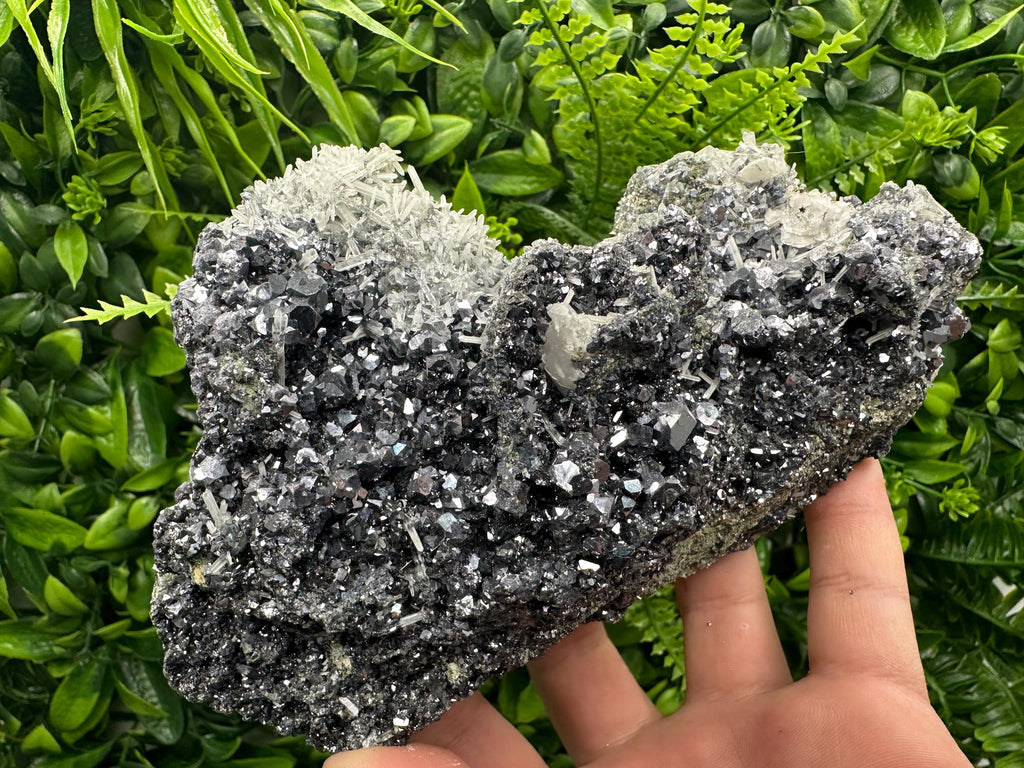 Galena on Sphalerite and Quartz: Borieva Mine, Bulgaria