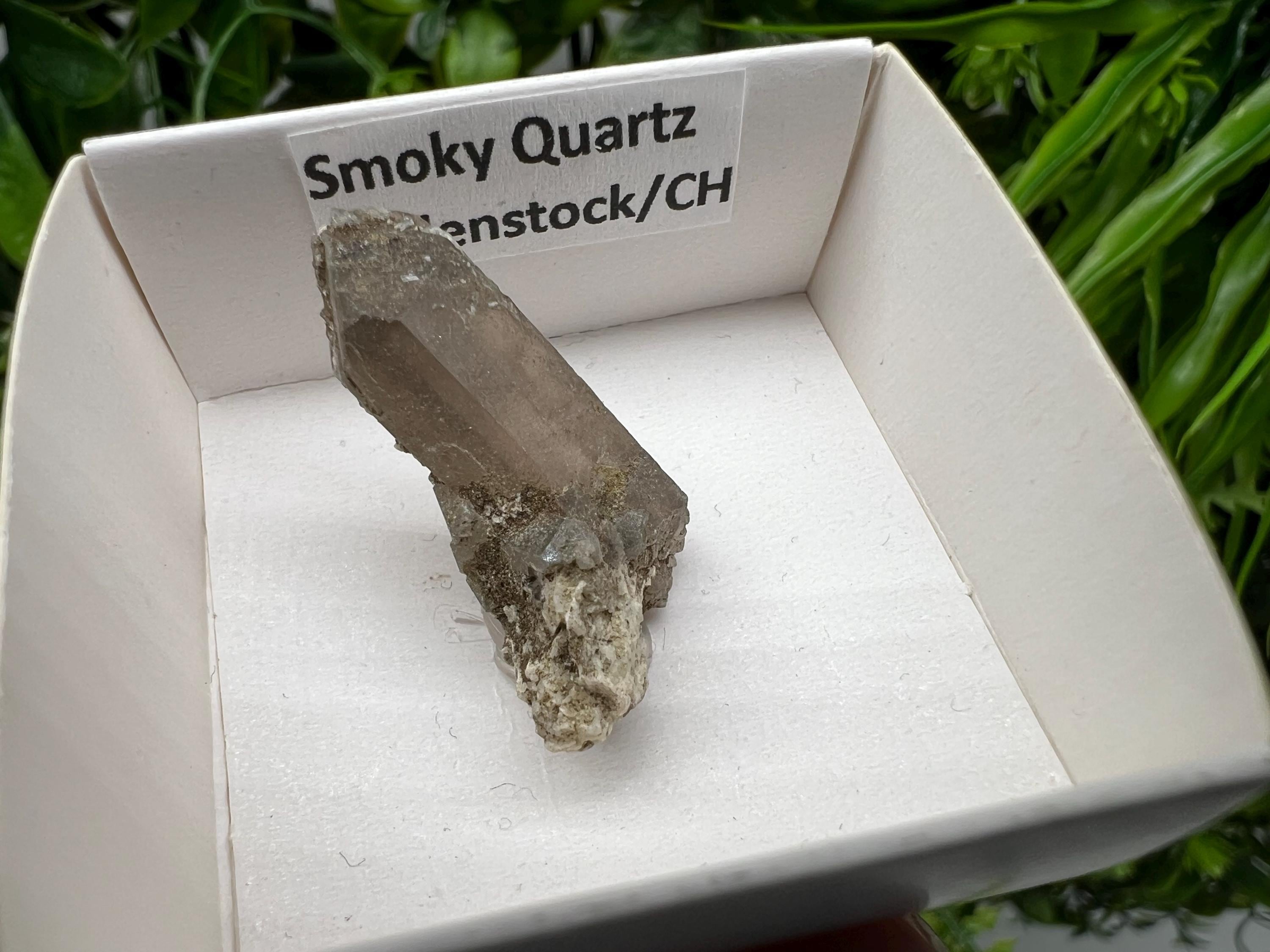 Rare Fedenstock Smoky Quartz, Swiss Mineral Specimen