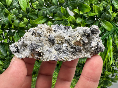 Chalcopyrite Galena on Quartz with Chlorite, Borieva Mine