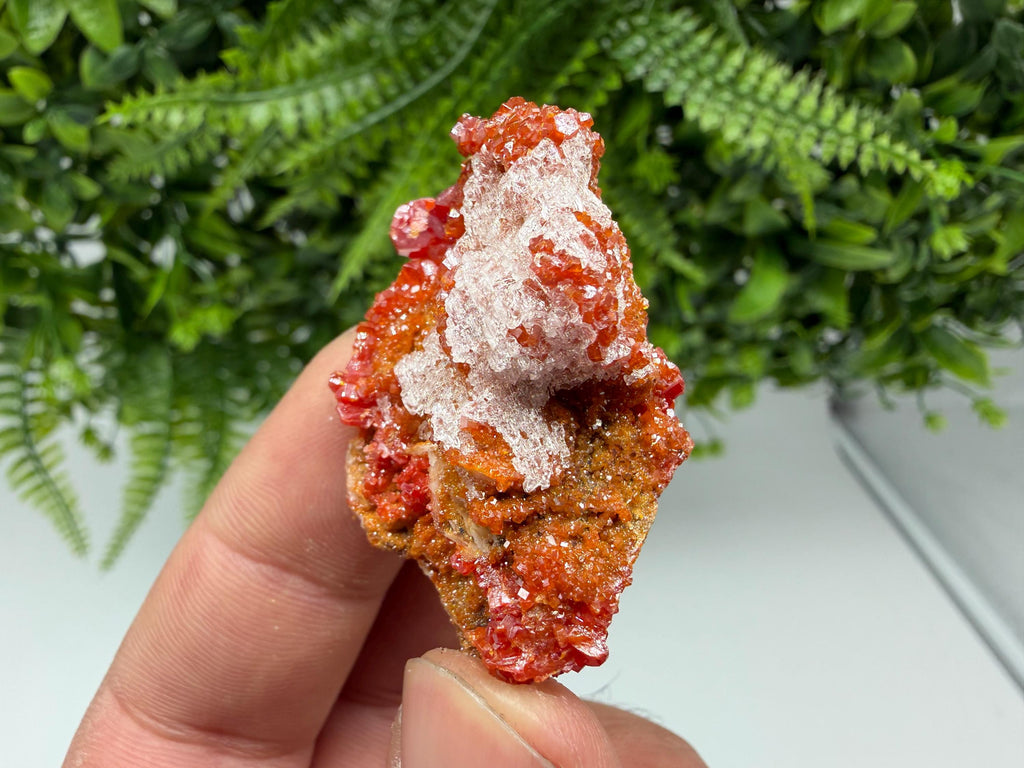 Red Vanadinite Crystal Cluster on Barite, Morocco Mineral Specimen