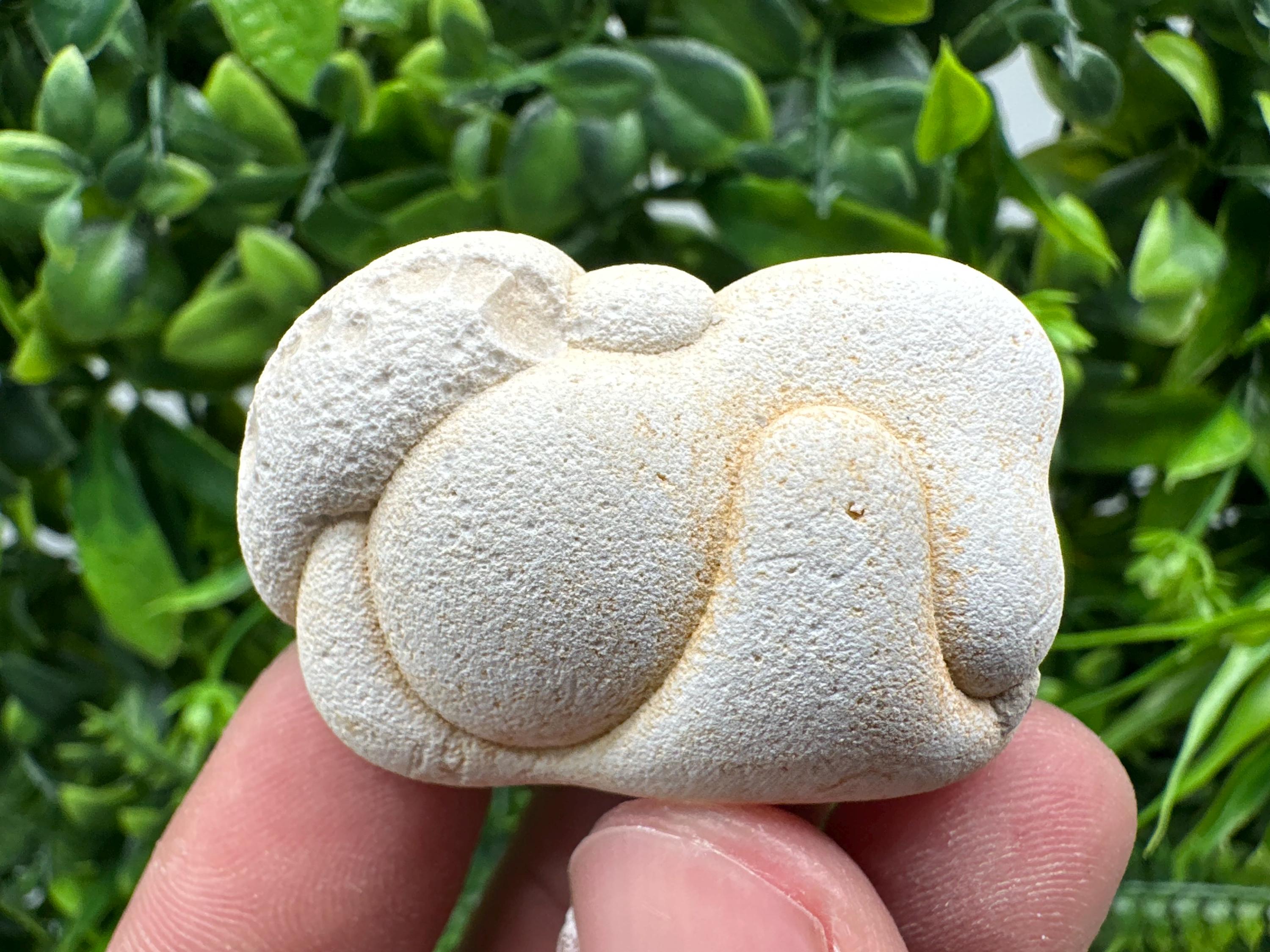 Menalite Crystal: White Fairy Stone, Moroccan A+ Grade