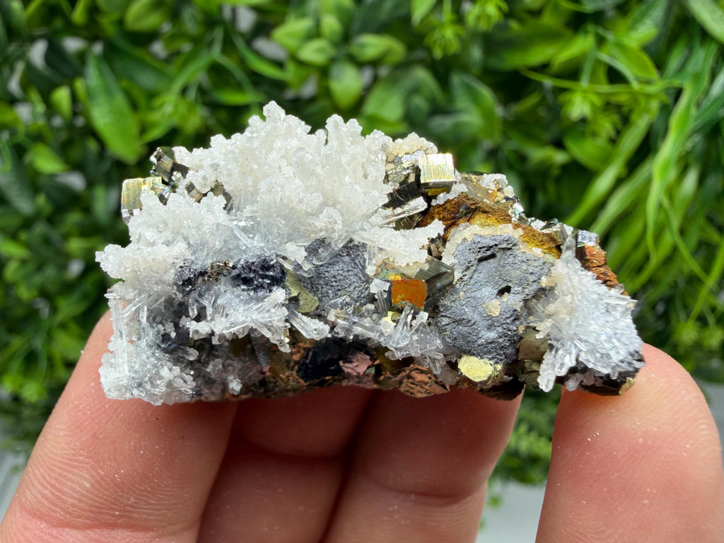 Pyrite Sphalerite Quartz  Mineral Specimen, Krushev dol Mine