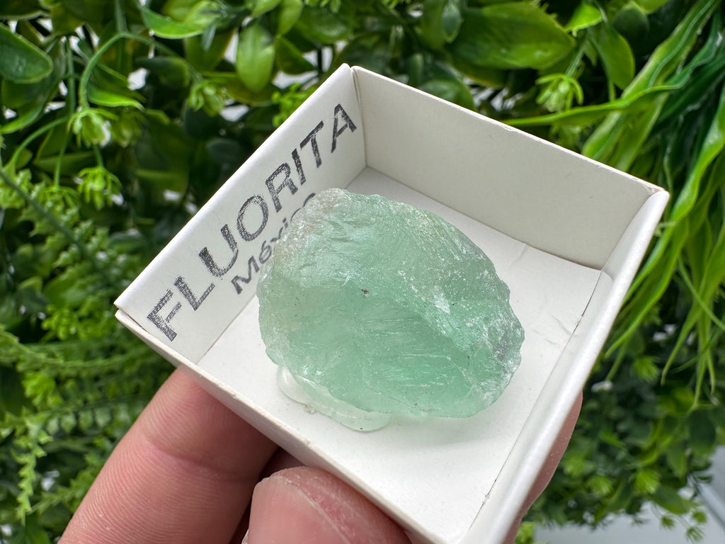 Rare Rainbow Fluorite from Mexico: Raw Meditation Stone