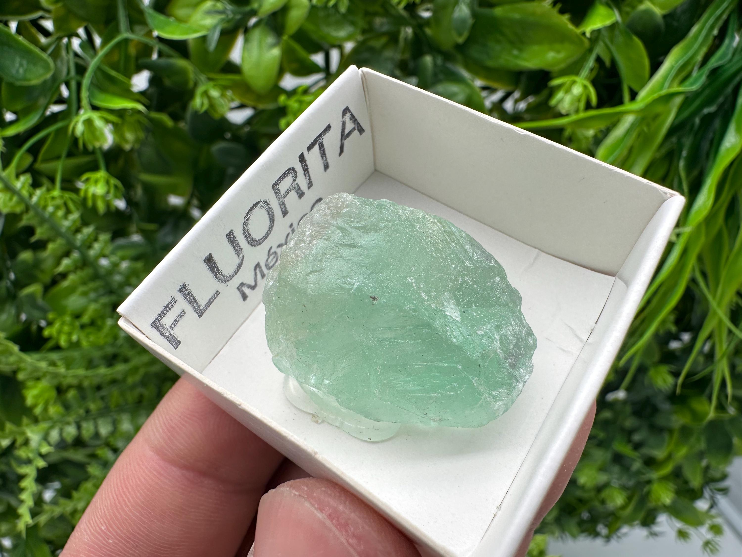 Rare Rainbow Fluorite from Mexico: Raw Meditation Stone