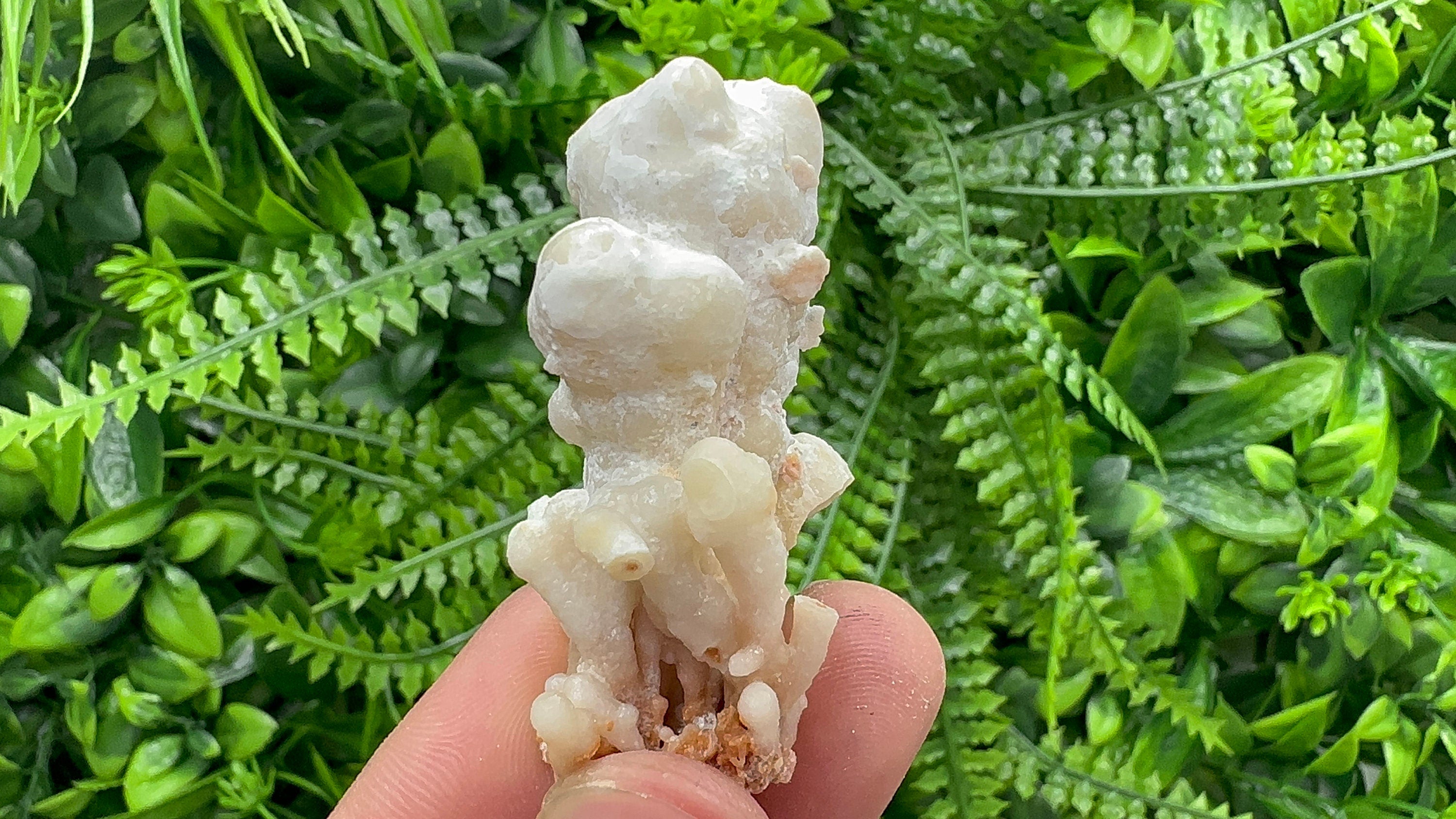 Aragonite Cluster, Bulgaria Mineral Specimen, Home Decor Stone (3/6/2.5cm)