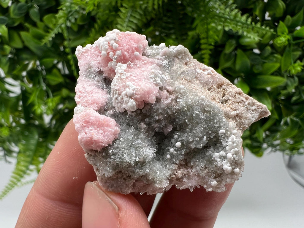 RARE Rhodochrosite with Calcite: Starnica Mine, Bulgaria