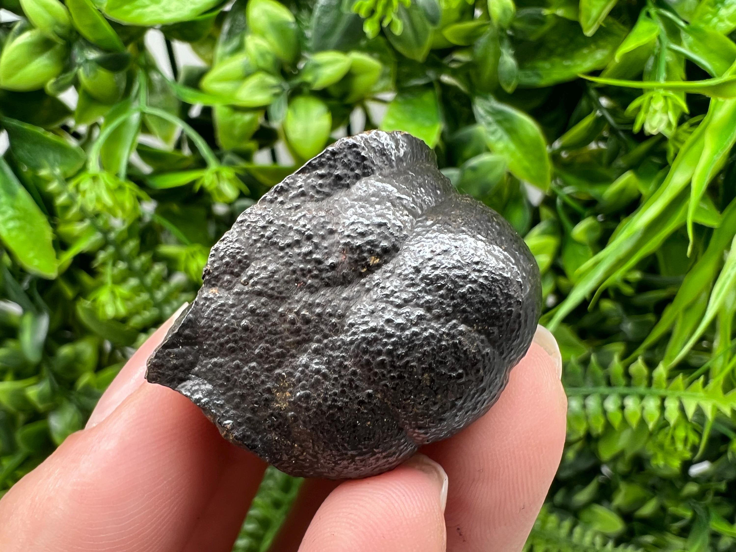 Botryoidal Black Hematite Specimen: Moroccan Crystal, Chakra Reiki