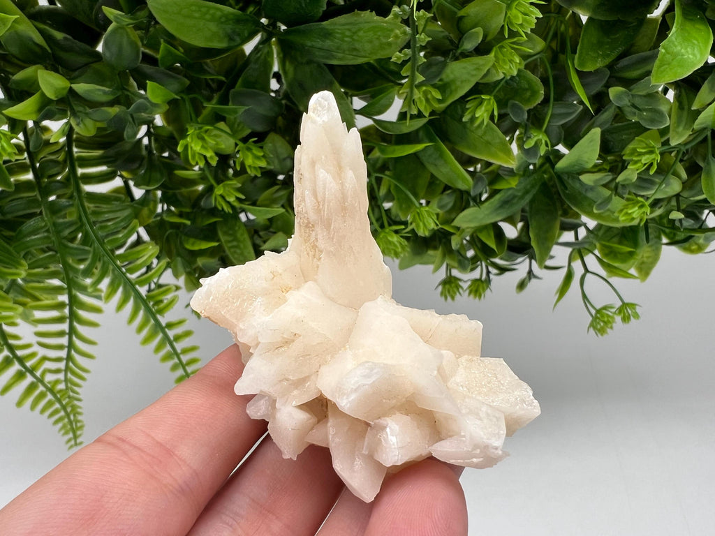 Calcite on Green Quartz: Djurcovo Mine, Bulgaria Healing Crystal