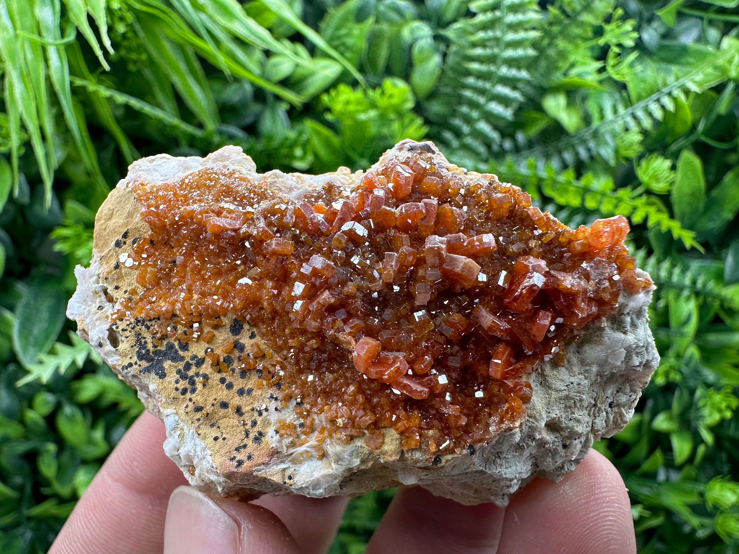Red Vanadinite Crystal Cluster on Matrix, Morocco Mineral Specimen